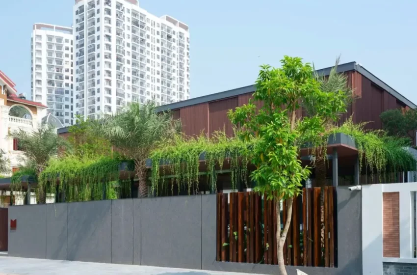 Biến nhà hướng Tây thành không gian mát mẻ, xanh mướt