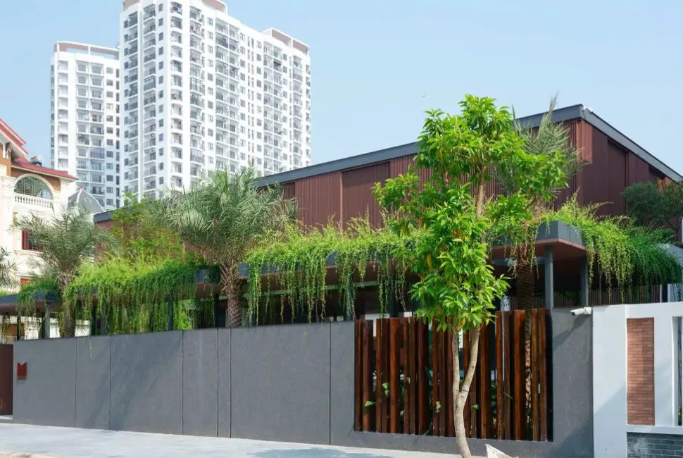 Biến nhà hướng Tây thành không gian mát mẻ, xanh mướt